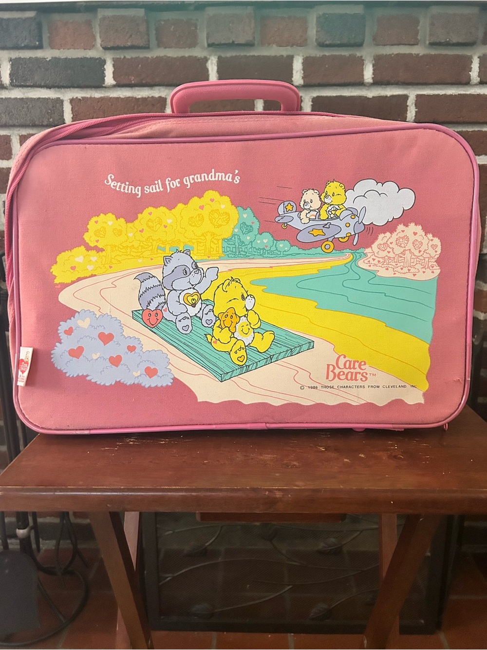 Vintage 1986 Care Bears Setting Sail For Grandma’s Pink Travel Suitcase